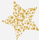 Seminole Star